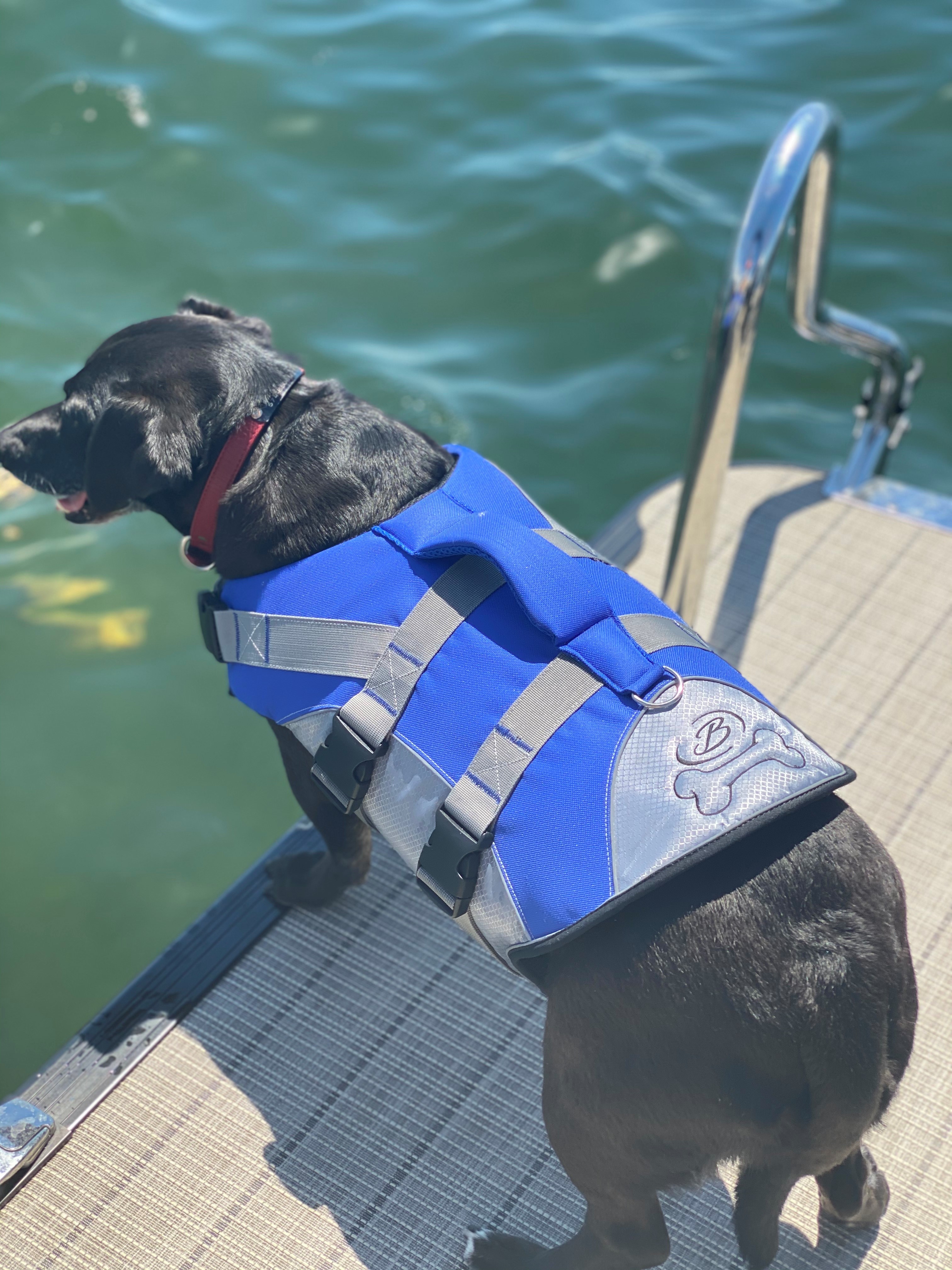 Dog life jacket